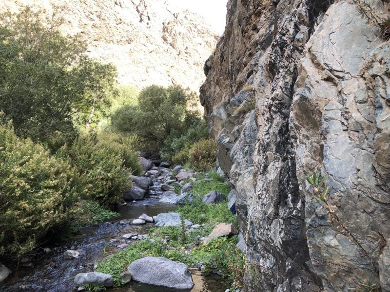 Nord - North. The exact Confluence is about 35 m away and up the cliff to the right