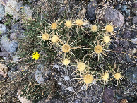 #6: Beim CP - Close to the CP