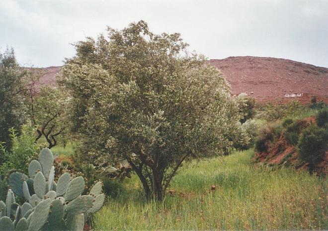 View towards west from Confluence