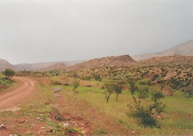 Road leading close to the Confluence