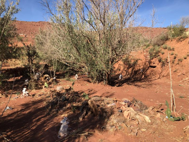 Beim CP - Close-up of the CP