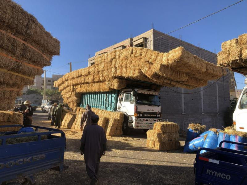Ein Markt - A market
