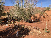 #7: Beim CP - Close-up of the CP