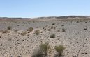 #4: View south