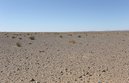 #5: View west