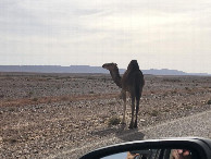 #7: Nahe des CP - Not far from the CP