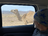 #8: Unterwegs - On the road