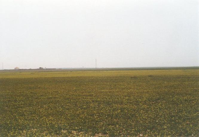 View towards east from Confluence