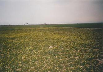 #1: The Confluence 32°N 8°W seen from NE (Confluence marked by heap of stones)