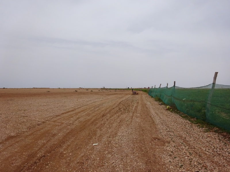 View to the West from 70 m distance