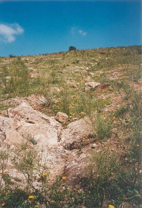 View towards east from Confluence. The bare rock is only a few steps from the Confluence