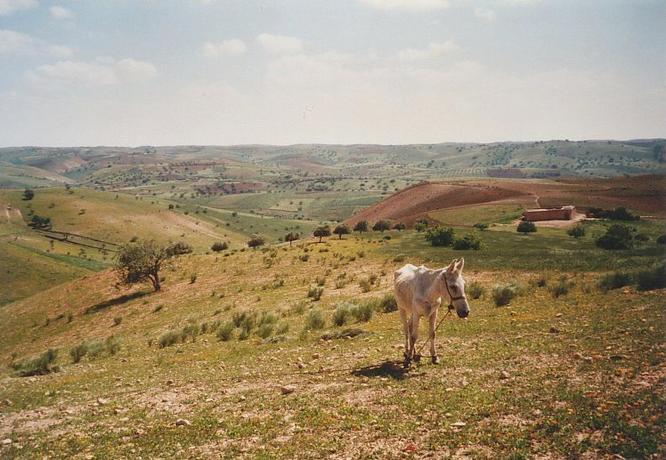 An impression of the lovely scenery all around