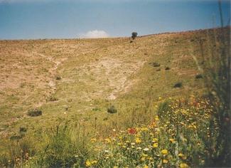 #1: The CP 32°N 8°W seen from west (Confluence in front of the bright rock in the centre)