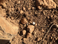 #7: Der CP - Close-up of the CP