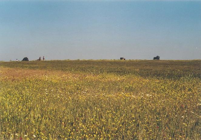 View towards north from Confluence