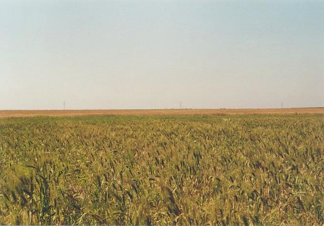 View towards north from Confluence