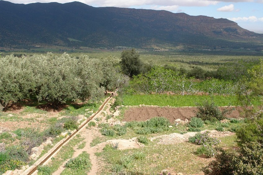 Gardens and water supply