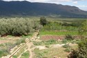 #9: Gardens and water supply