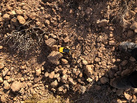 #6: Am CP - Close-up of the CP