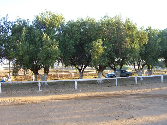 North