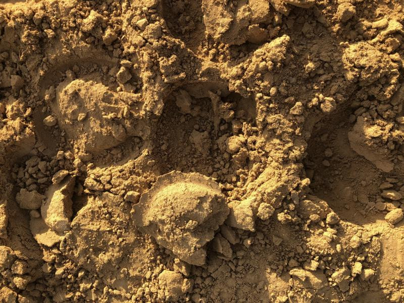 Am CP - Close-up at the CP