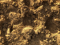 #6: Am CP - Close-up at the CP