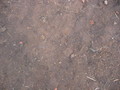 #6: Ground zero