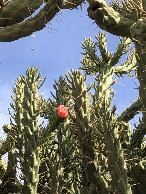 #8: Beim CP - Close to the CP