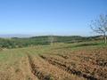 #2: Looking east from the Confluence