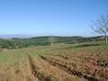 #2: Looking east from the Confluence