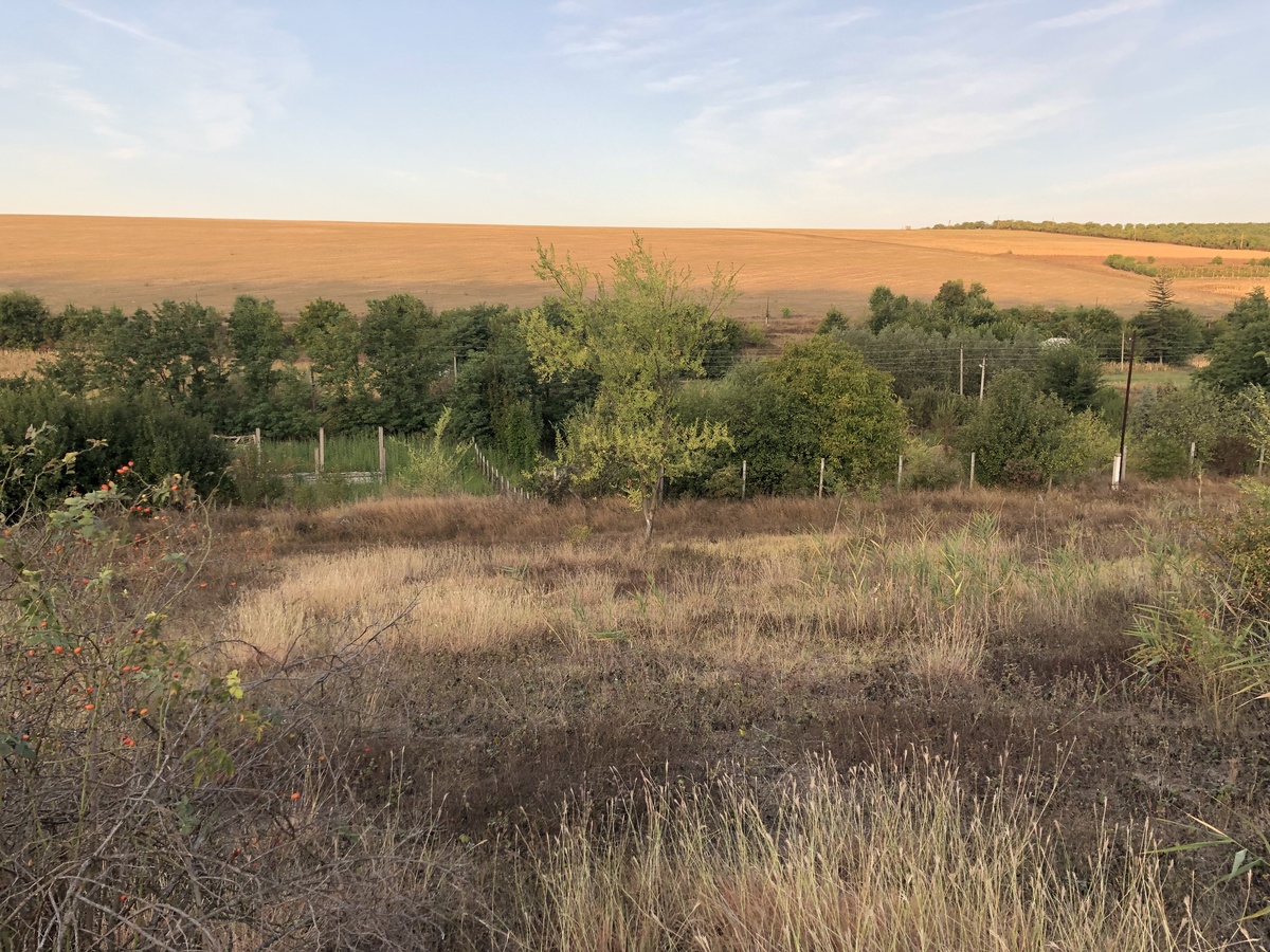 The Confluence from 50 m Distance