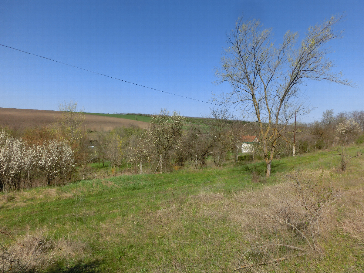 15m zum Punkt - 15m to N47E29
