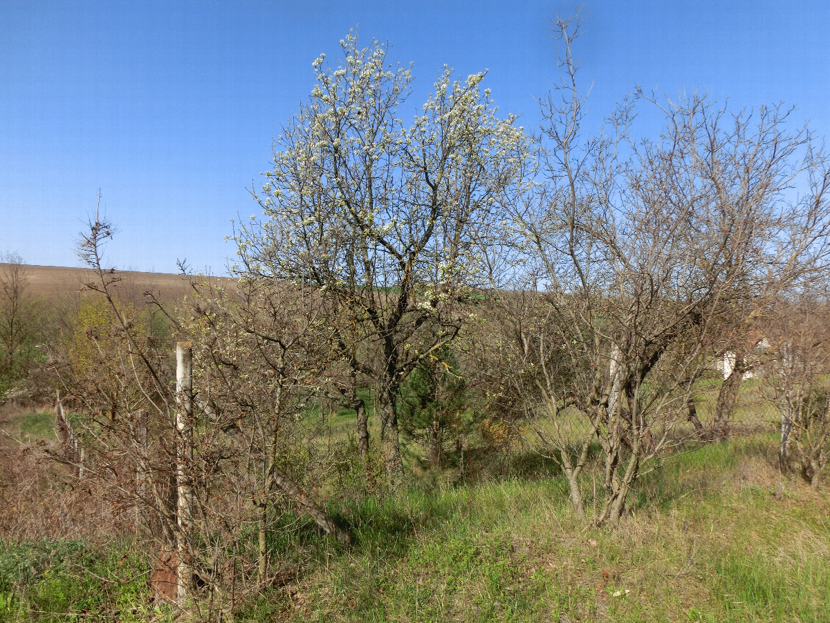 Blick nach Westen - View west