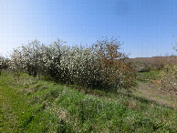 #5: Blick nach S&uuml;den - View south