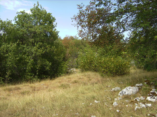 Blick nach Osten - View east