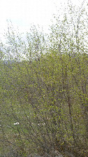 #2: North