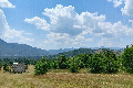 Visit #5: [11-Jul-24]