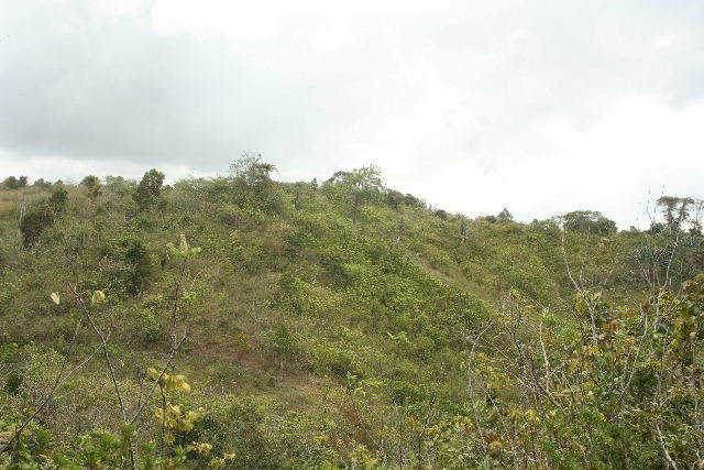 West