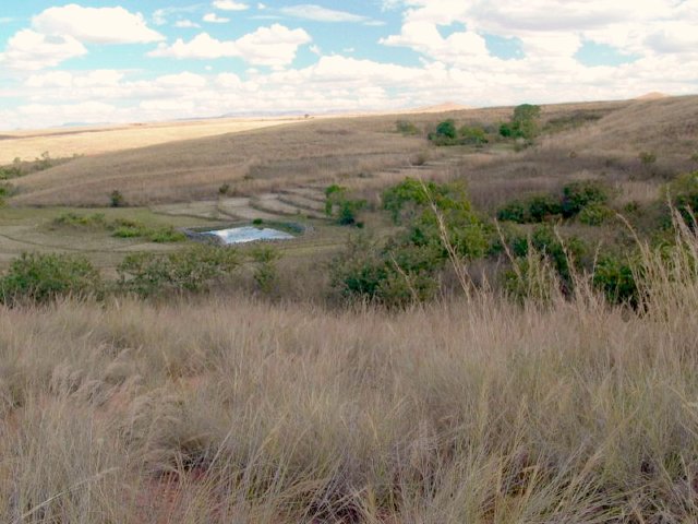 Point seen from East