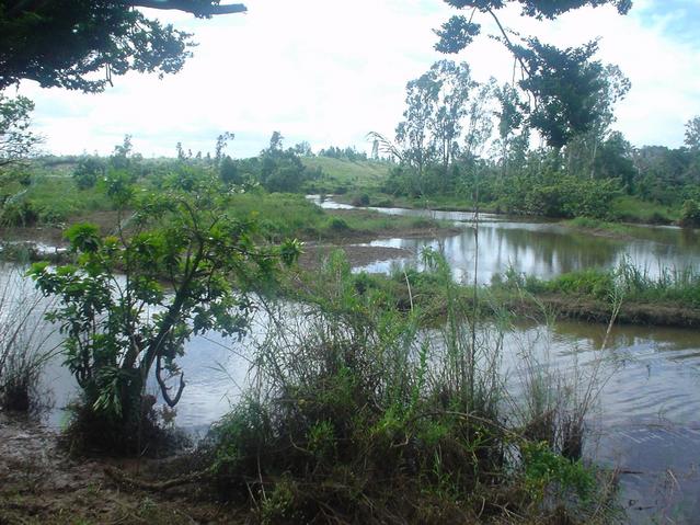 Meandering river 19°01.023'S 48°59.841'E