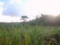 #5: Looking West from 19S 49E