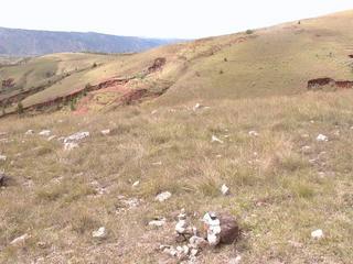 #1: Confluence point on top of a hill, facing S