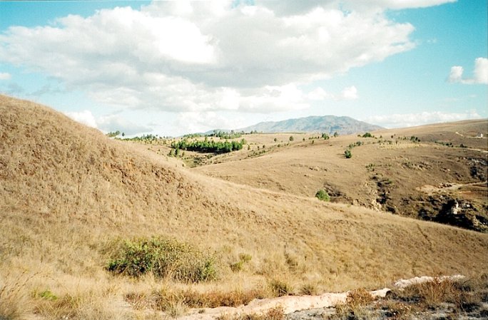 The general area where we stopped (1st attempt), facing south