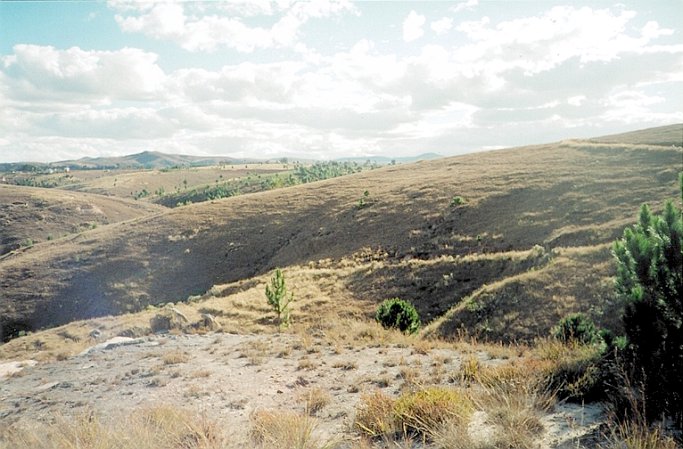 Facing west, down toward the rock formation (1st attempt)