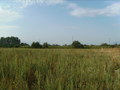 #6: Blick nach Süden - View south