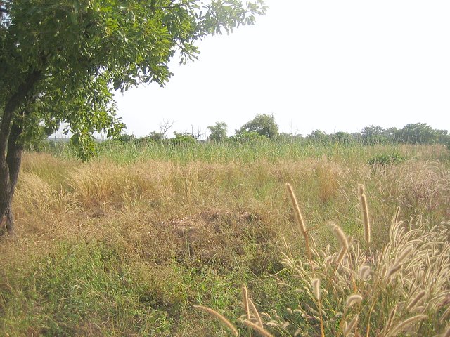 Photo at Confluence looking south