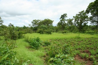 #1: The confluence point, and view to the North