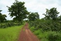 #8: The small track between Mpiébougou and the Confluence