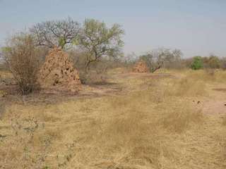 #1: General view