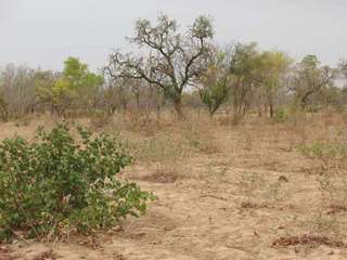 #1: General view